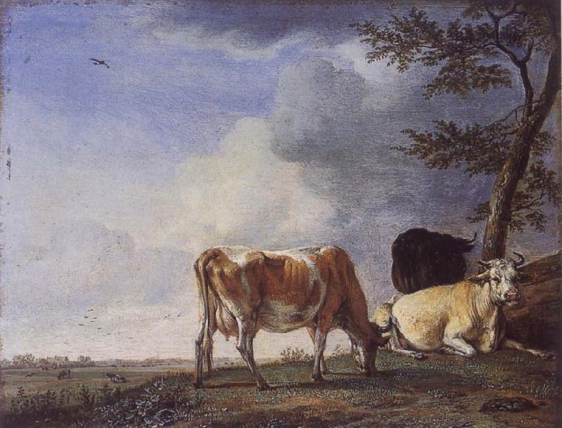 POTTER, Paulus Three Cows in a Pasture Germany oil painting art